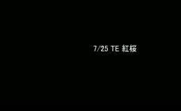 2015/07/25 TE 紅桜