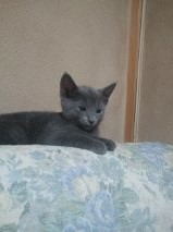 はぴー