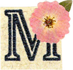 Myr