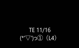 11/16TE①